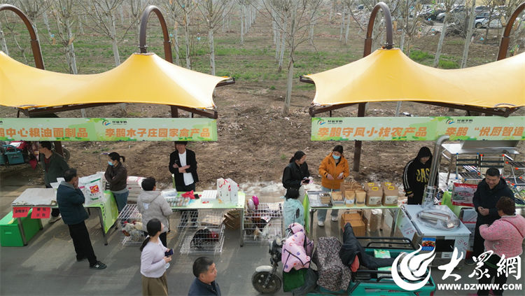 匠心傳承，共富同行 廣饒縣李鵲鎮“好品李鵲共富市集”上的麥秸畫藝術